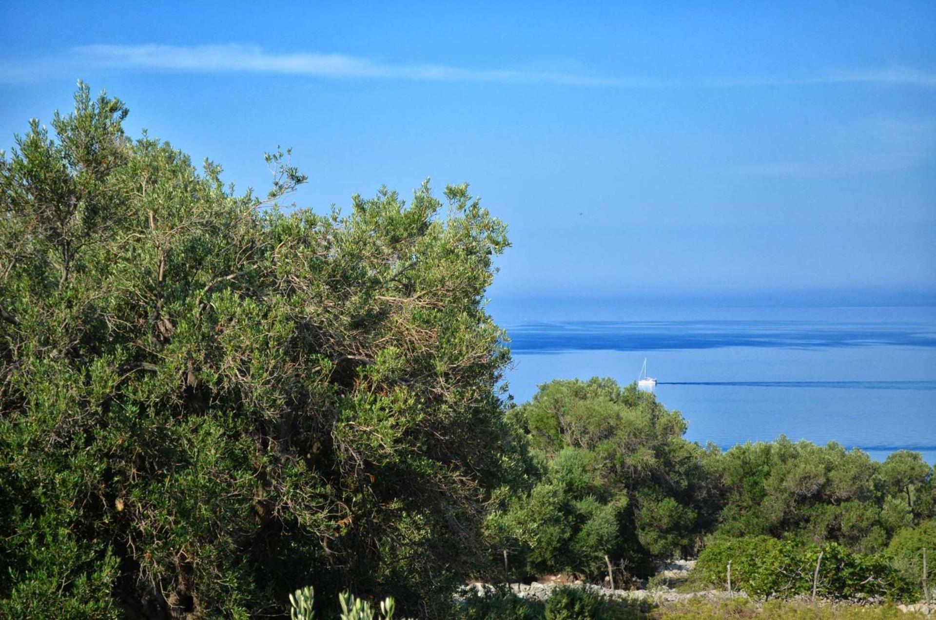 Apartments Krusvina Lun (Pag) Quarto foto